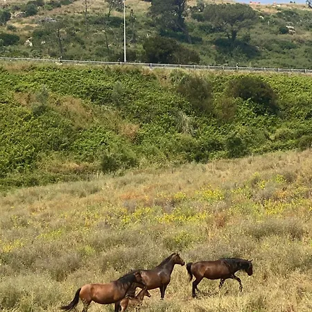 Like A Local Ericeira