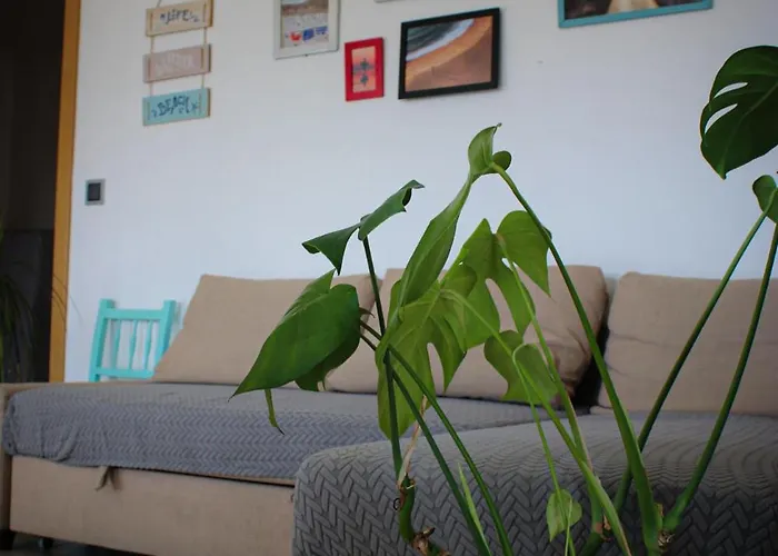 Like A Local Maison d'hôtes Ericeira