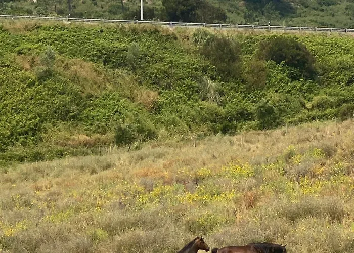 Like A Local Ericeira